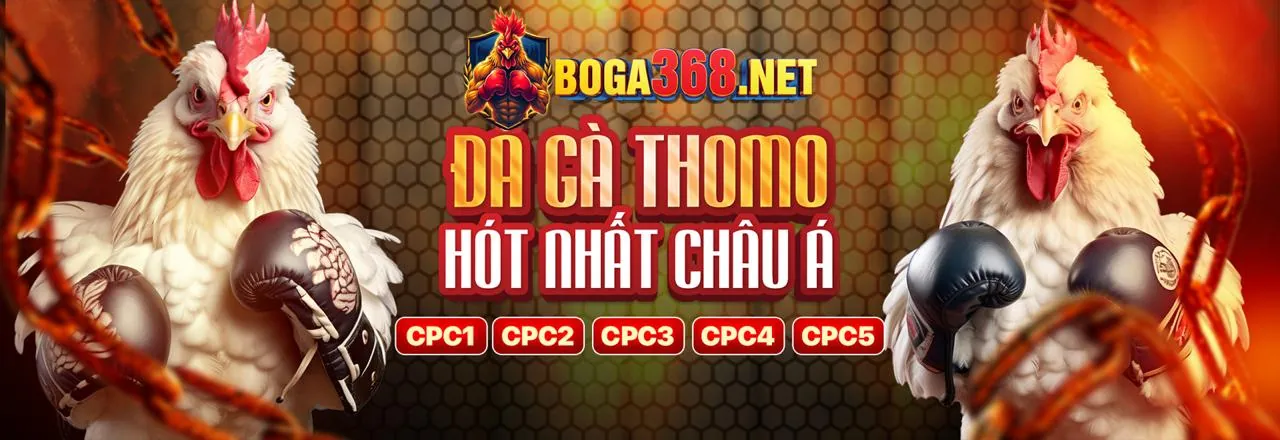 Đá gà trực tuyến S666