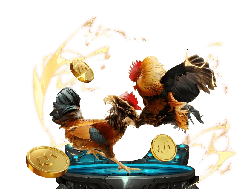 Quy trình đăng ký tài khoản s666